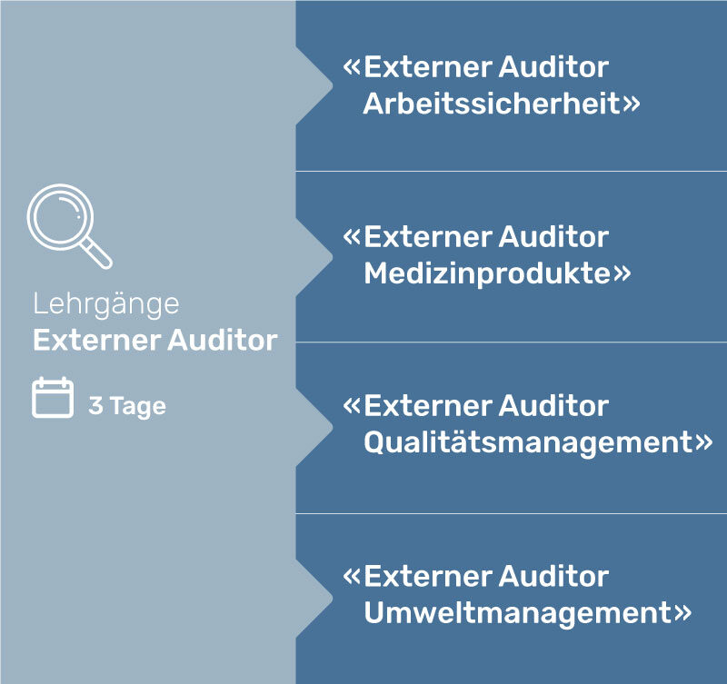 Grafik Externer Auditor